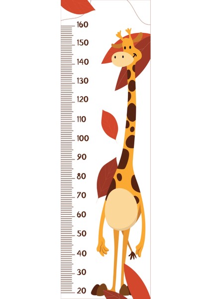 Statik Kağıt Boy Ölçer (Model-6) 48 cm x 160 cm Dpmah