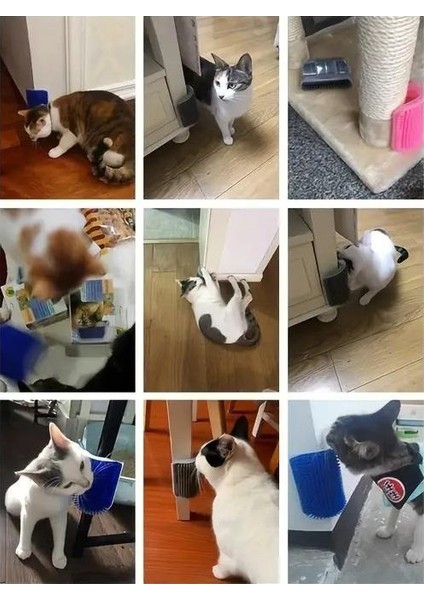 Kedi Kaşınma Tırmalama ve Sürtünme Aparatı Kedi Masaj Fırçası Kedi Naneli indirimleri