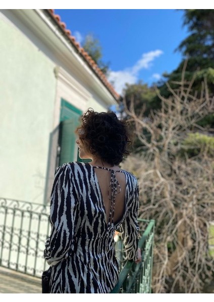 Desenli Zebra Saten Elbise