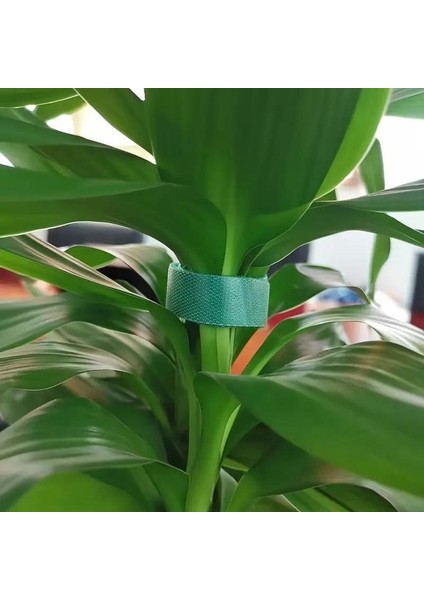 5 Metre 1 cm Yeşil Renk Bahçe Bitki Fide Bağlama Bandı Çırt Çırt Bant indirimleri