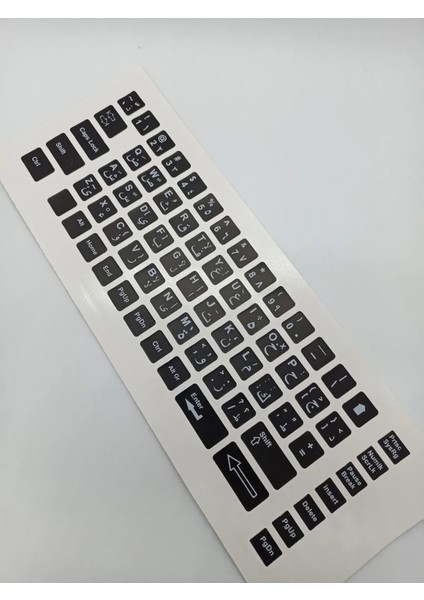 Arapça Ingilizce Notebook Klavye Sticker Etiketi Siyah(5 Adet)