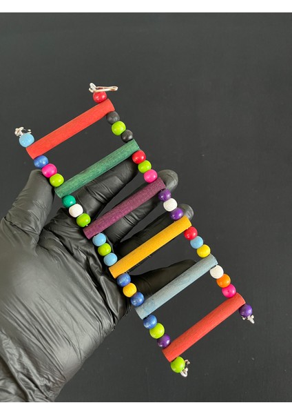 Kuş Oyun Seti , Muhabbet Kuşu , Sultan Papağanı Oyuncakları , 6 Adet El Yapımı , Kaliteli Ahşap Kuş Oyuncağı