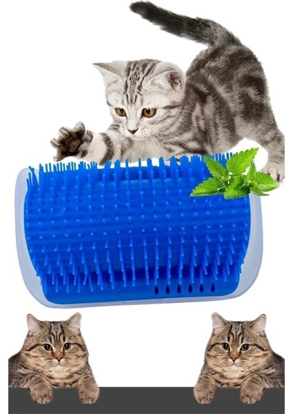 Kedi Otlu Kaşınma Aparatı Oyuncağı Tüy Toplama Kedi Naneli fiyatları