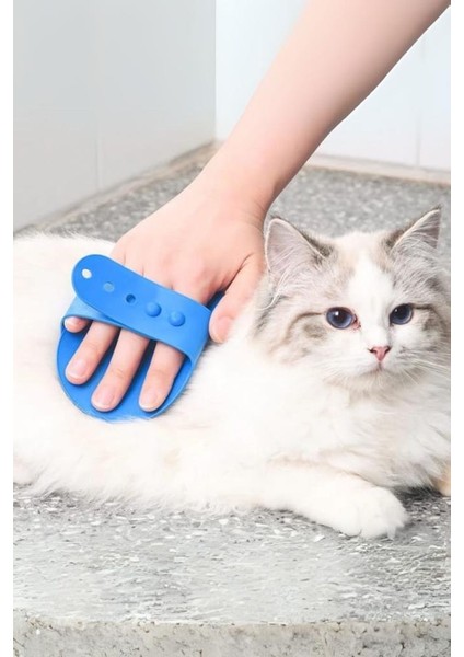 Hayvan Tüy Toplama Yıkama ve Köşe Kaşınma Silikon Fırçası fiyatları