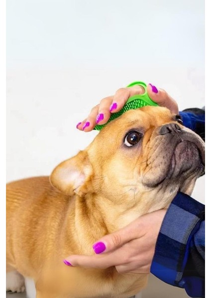 Hayvan Tüy Toplama Yıkama ve Köşe Kaşınma Silikon Fırçası modelleri