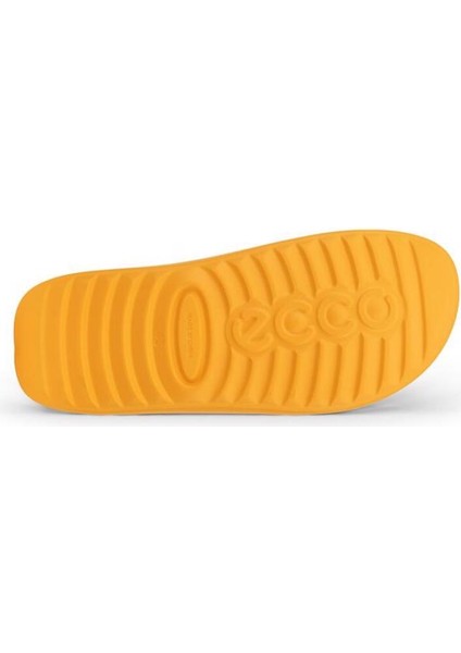 Cozmo E Fanta