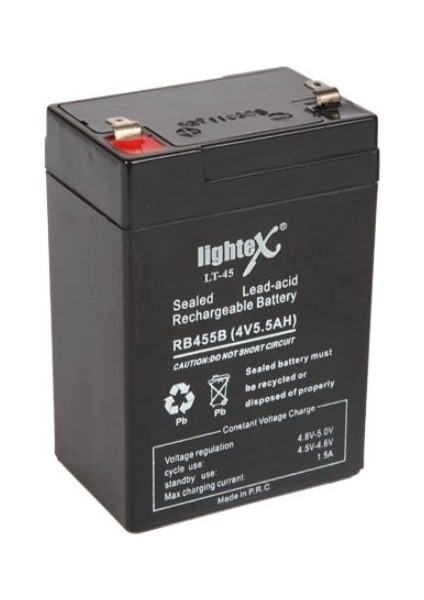 LT-45N 4 Volt - 5 Amper Kuru Akü (Işıldak Aküsü)
