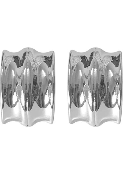 Gümüş Renk Çelik Küpe (Çift) fiyatları