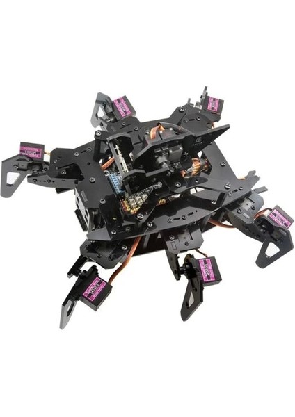 Raspclaws Hexapod Örümcek Robot Kiti