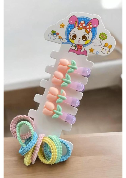 Karışık Renk Pens Toka ve Lastik Toka Set