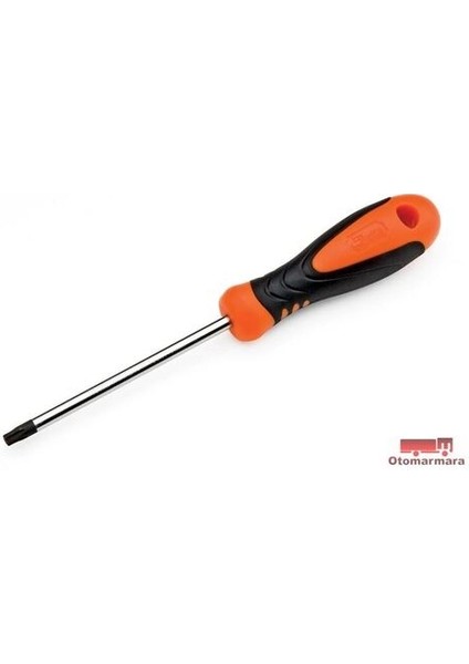 RPT0T10 Torx Tornavida T10