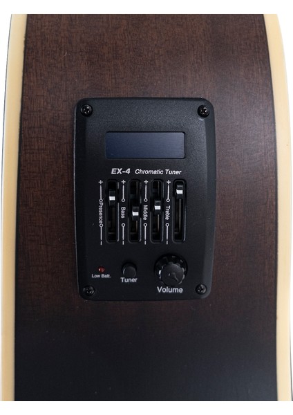 F-650/DVS Ceq Elektro Akustik Gitar modelleri
