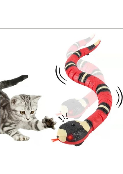 Hareketli Yılan Oyuncak, Kedi Oyuncağı, Küçük Irk Oyuncağı, Köpek Oyuncağı, Yılan Oyuncak