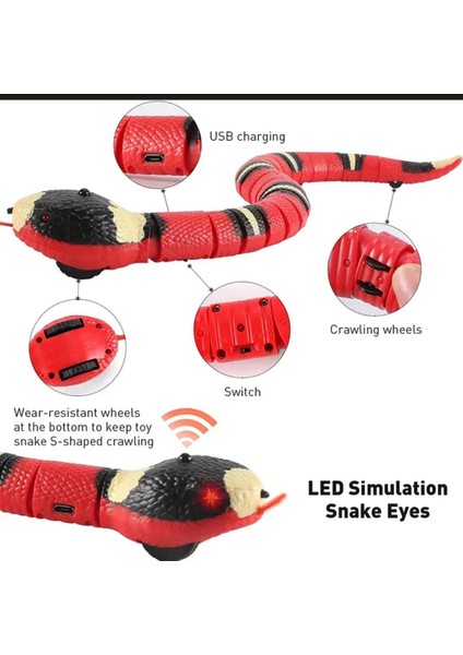 Hareketli Yılan Oyuncak, Kedi Oyuncağı, Küçük Irk Oyuncağı, Köpek Oyuncağı, Yılan Oyuncak modelleri