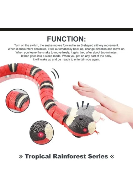 Hareketli Yılan Oyuncak, Kedi Oyuncağı, Küçük Irk Oyuncağı, Köpek Oyuncağı, Yılan Oyuncak indirimleri