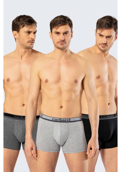 Erkek 3lü Boxer