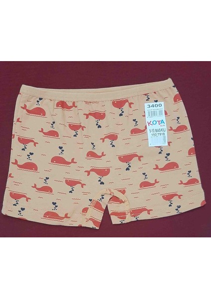 Kids Kız Çocuk Boxer 4'lü Paket