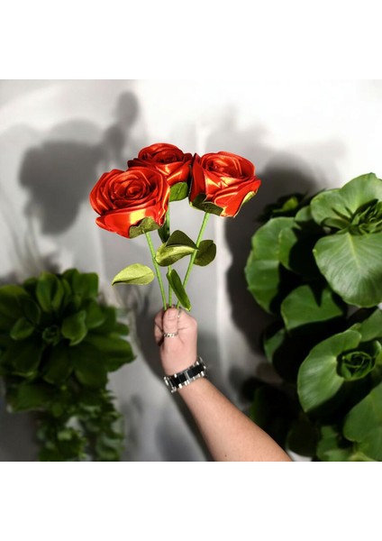 Dekoratif Saten Kurdele Solmayan 3'lü Özel Hediye Gül Çiçek Sevgiliye Arkadaşa (Vazo Dahil Değildir) indirimleri