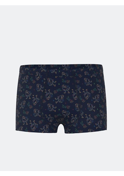 Lcw Kids Erkek Çocuk Boxer 3'lü (S5) fiyatları