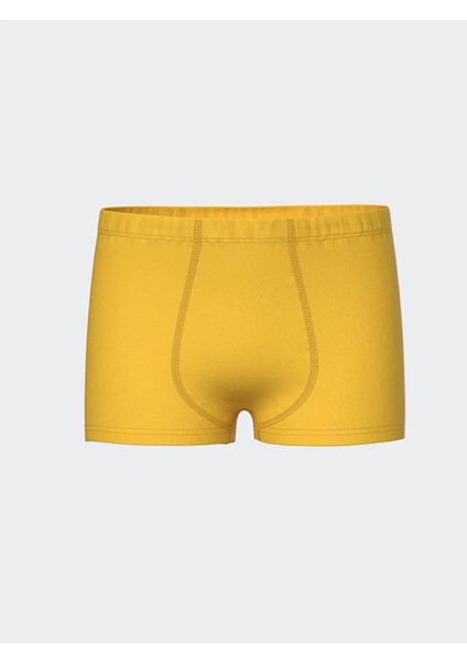 Lcw Kids Baskılı Erkek Çocuk Boxer 3'lü (S5) fiyatları