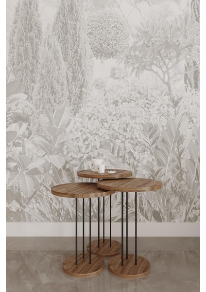 Modern Zigon Sehpa Seti 3'lü | Yuvarlak Orta Sehpa | Yan Sehpa | Minimalist Şık Metal Ayaklı Sehpa | 52-55-59 cm Yükseklik | 34 cm Çap