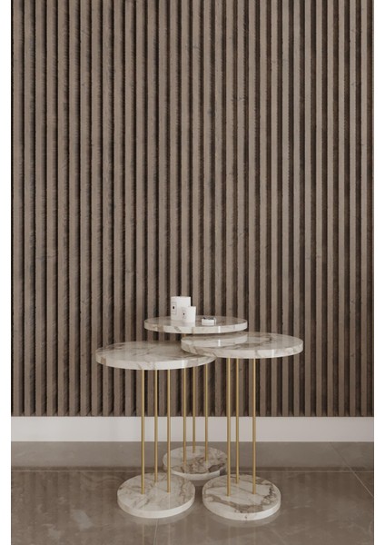 Modern Zigon Sehpa Seti 3'lü | Yuvarlak Orta Sehpa | Yan Sehpa | Minimalist Şık Metal Ayaklı Sehpa | 52-55-59 cm Yükseklik | 34 cm Çap