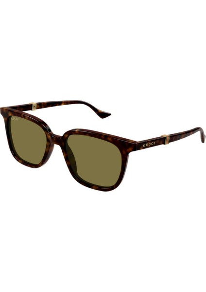 Guccı GG1493S 002 Havana 54