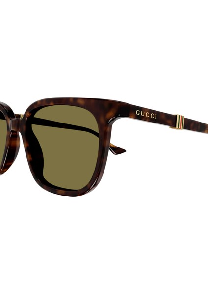 Guccı GG1493S 002 Havana 54 modelleri