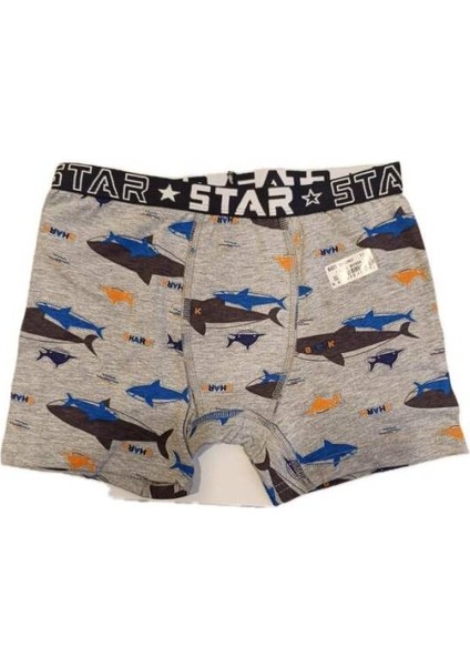 3 Lü Erkek Çocuk Beli Kemerli Desenli Boxer indirimleri