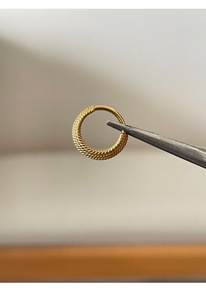 316 L Cerrahi Çelik 3 Sıra Burgu Modeli Halka Piercing Kıkırdak Helix Tragus Piercingi fiyatları