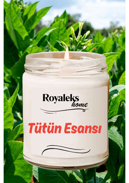 Doğal Özel Seri Kokulu Dekoratif Kavanoz Mum 210 cc - Tütün Esansı - Ryl