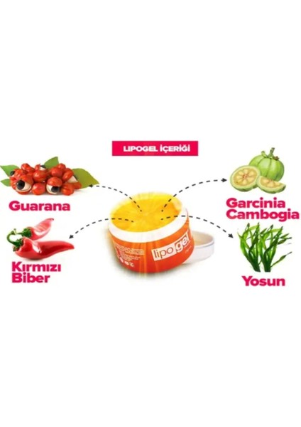 Lipo Selülit Jeli - Orijinal Lipo Gel Bölgesel Kullanım Jeli 150ML x 3 Adet