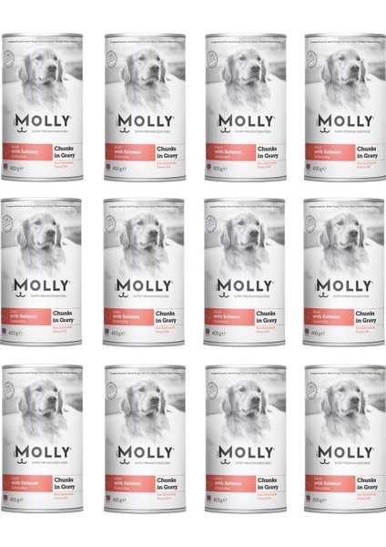 Somonlu Soslu Köpek Konservesi 400 gr x 12 Adet