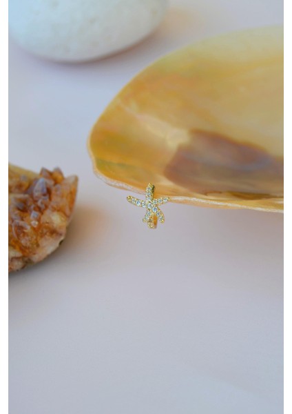 Sıkıştırmalı Kıkırdak Küpesi Deniz Yıldızı Earcuff fırsatları