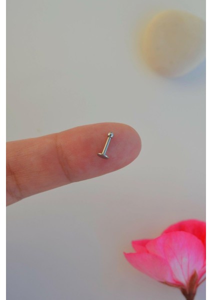 Gümüş Renk 2 mm Küçük Toplu Çelik Piercing Tragus Helix Kıkırdak Lob Conch Burun fiyatları