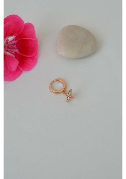 Kutup Yıldızı Halka Helix Piercing Lob Kıkırdak Küpesi fiyatları
