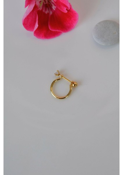 Gold Düz Halka Helix Piercing Halka Düz Conch Piercingi fiyatları