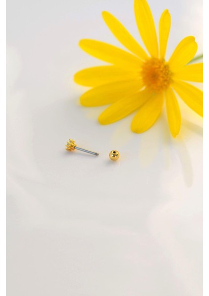 Çok Mini Çiçekli Helix Piercing Tragus Kıkırdak Piercing fırsatları