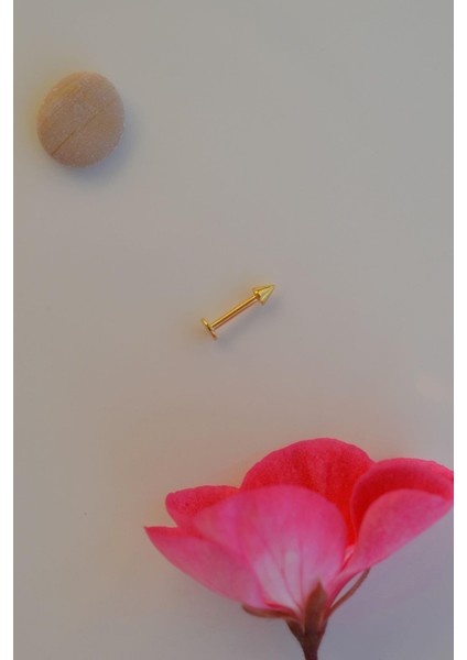 Gold Renk Arkası Düz 316 L Çelik Piercing Tragus Helix Kıkırdak Lob Dudak 8 mm fiyatları