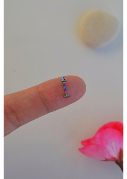 Hologram Renk Arkası Düz 316 L Çelik Piercing Tragus Helix Kıkırdak Lob Dudak 8 mm fiyatları