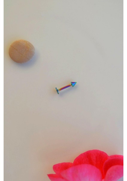 Hologram Renk Arkası Düz 316 L Çelik Piercing Tragus Helix Kıkırdak Lob Dudak 8 mm modelleri