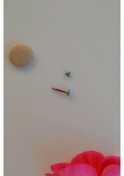 Hologram Renk Arkası Düz 316 L Çelik Piercing Tragus Helix Kıkırdak Lob Dudak 8 mm fırsatları
