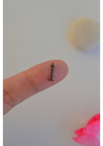Siyah Renk Arkası Düz 316 L Çelik Piercing Tragus Helix Kıkırdak Lob Dudak 8 mm