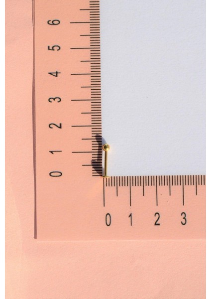 Top Uçlu Çelik Piercing Dudak Dil 10 mm Gold fiyatları