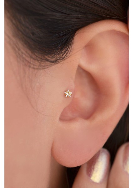 Gold Çelik Yıldız Piercing 8 mm Tragus Helix Kıkırdak Conch fiyatları
