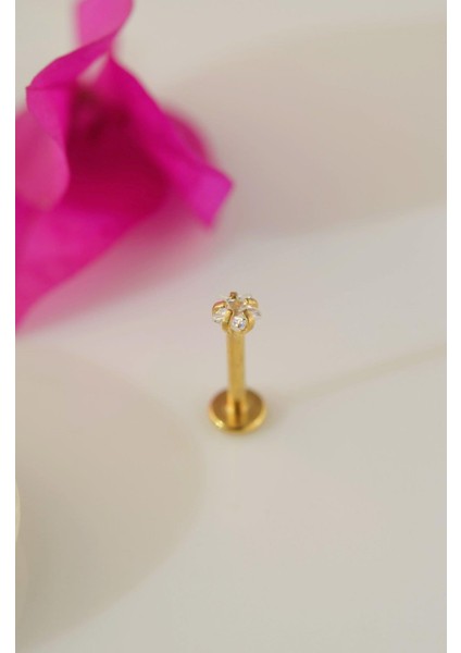 Gold Çelik Yıldız Piercing 8 mm Tragus Helix Kıkırdak Conch modelleri
