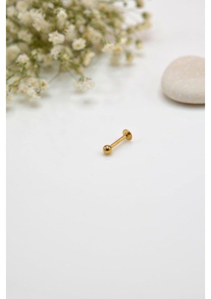 Gold Çelik Top Piercing 8 mm fiyatları