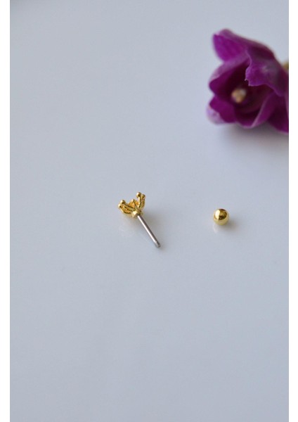 Zirkon Kıkırdak Küpesi Helix Piercing modelleri