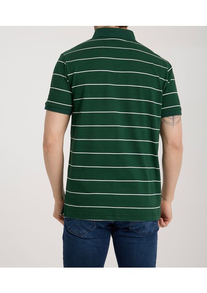 Polo Nefti Çizgili Regular Fit