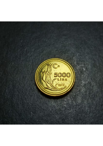 39963683A529BDA8A3 1996 Darphane Tedavül Setinden Çil 5000LIRA Eski Madeni Para